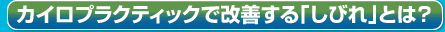 カイロプラクティックで改善する「しびれ」とは
